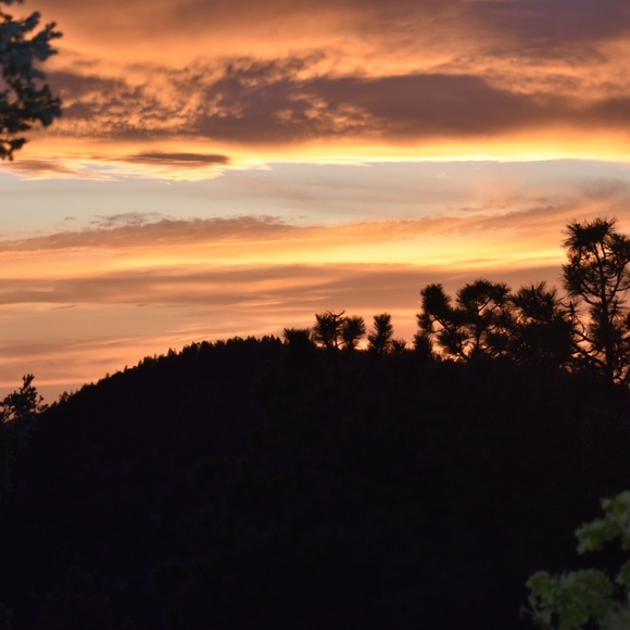 Meet your Posher, Angelo - Picture 2 of 4